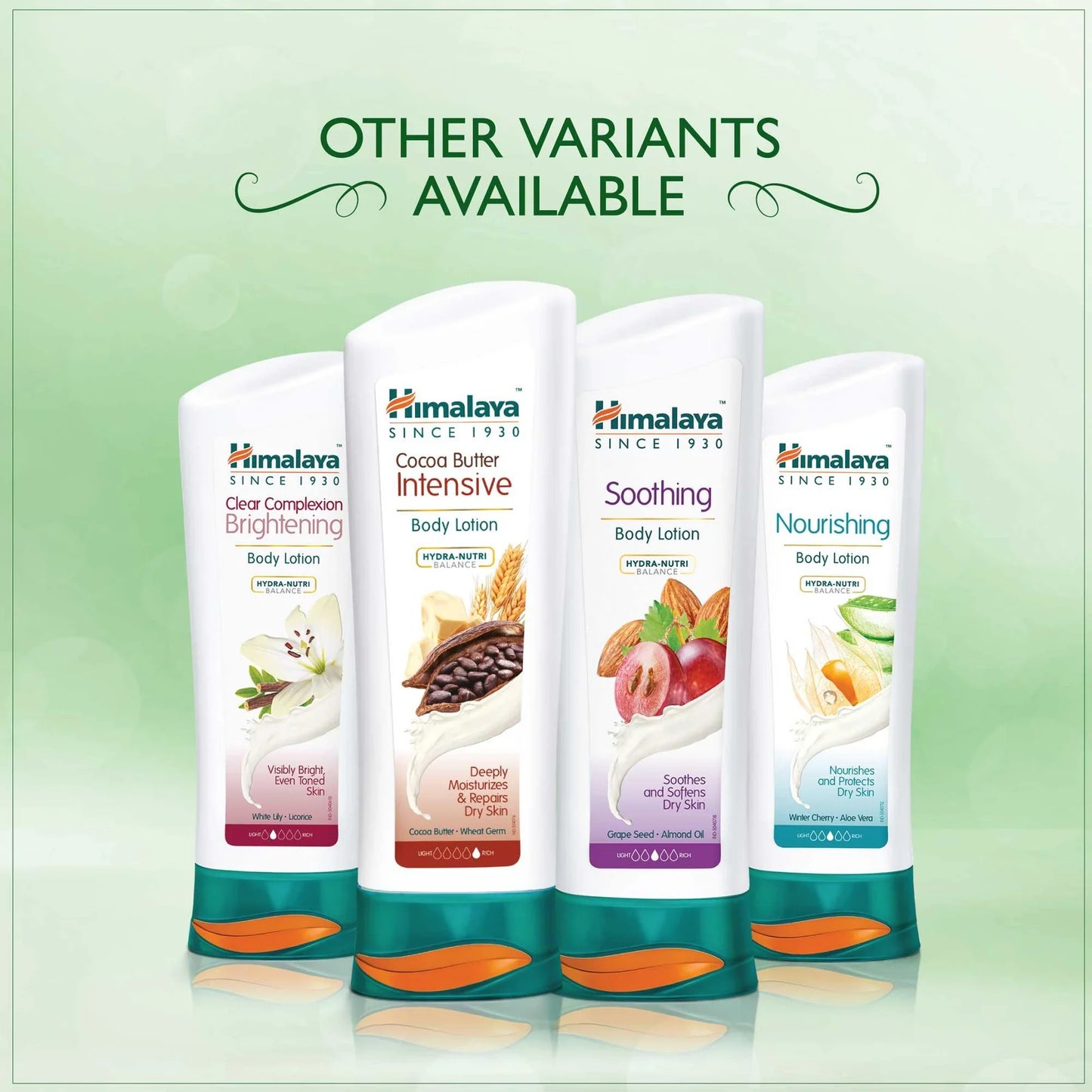 Aloe & Cucumber Refreshing Body Lotion