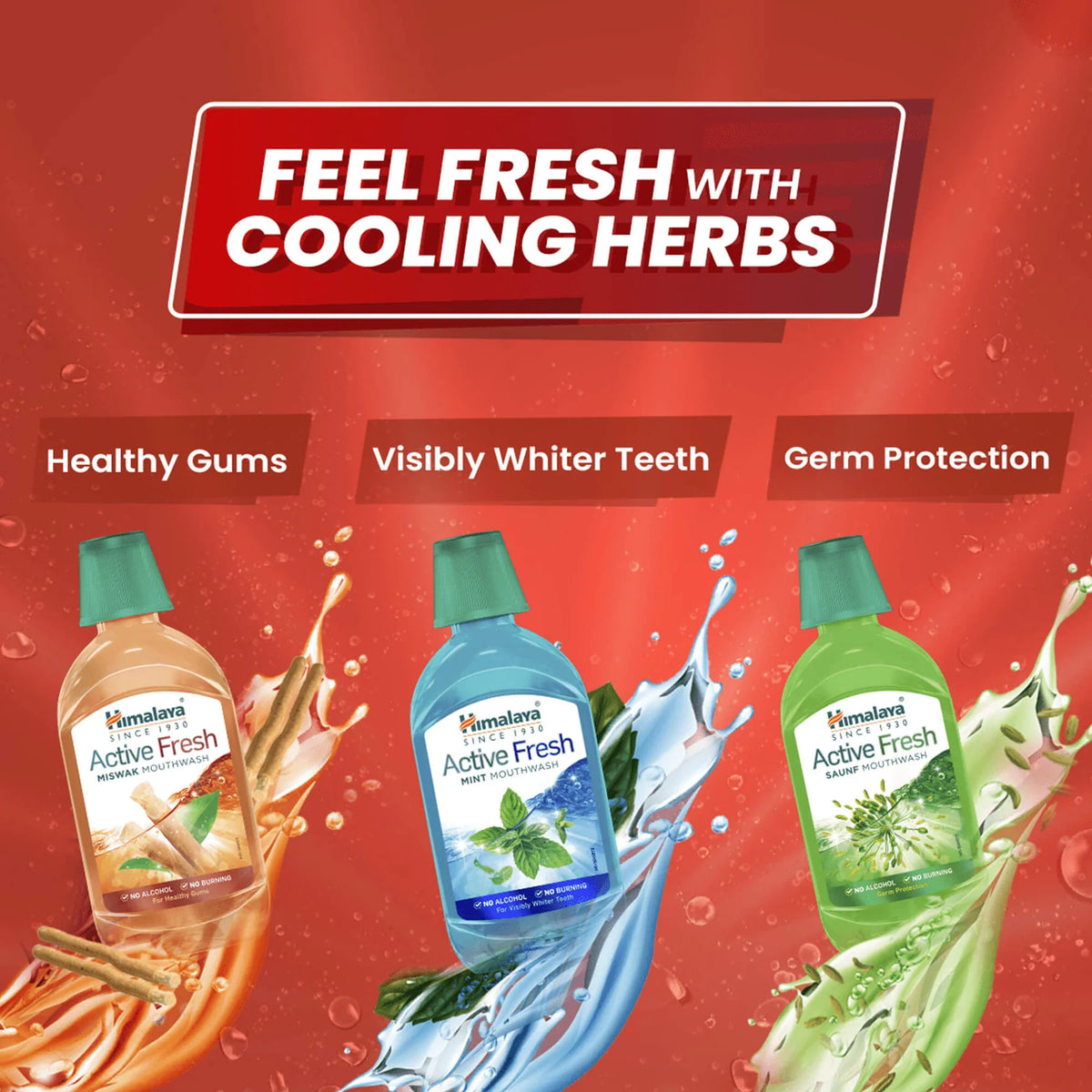 Himalaya Active Fresh Miswak Mouthwash