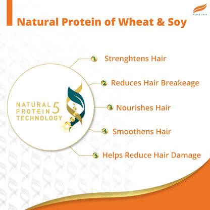 Himalaya Damage Repair Argan Oil Shampoo