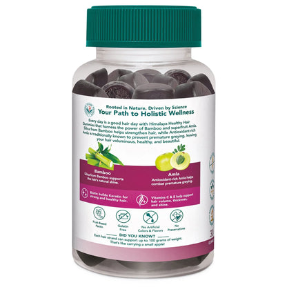 Healthy Hair Gummies