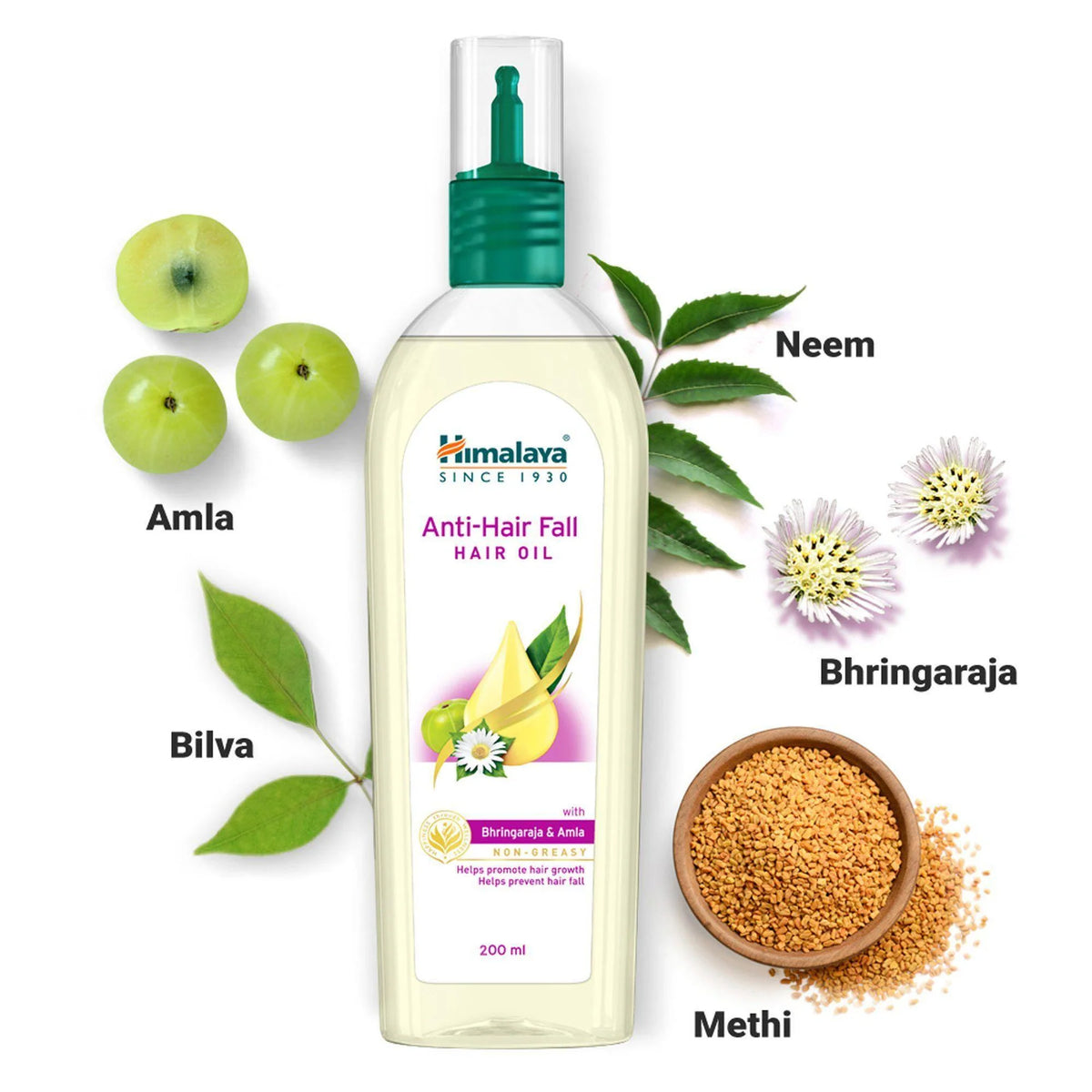 Anti-Hair Fall Hair Oil