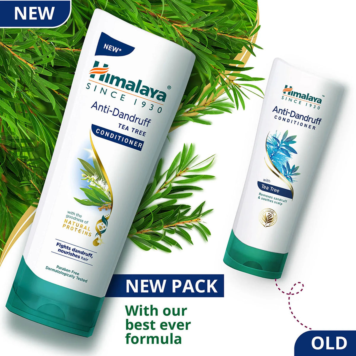 Anti-Dandruff Tea Tree Conditioner