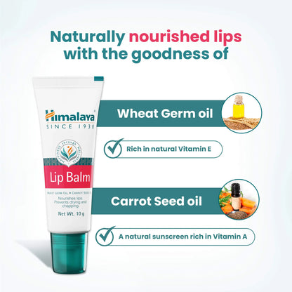Lip Balm