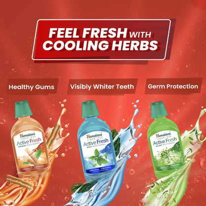 Himalaya Active Fresh Miswak Mouthwash